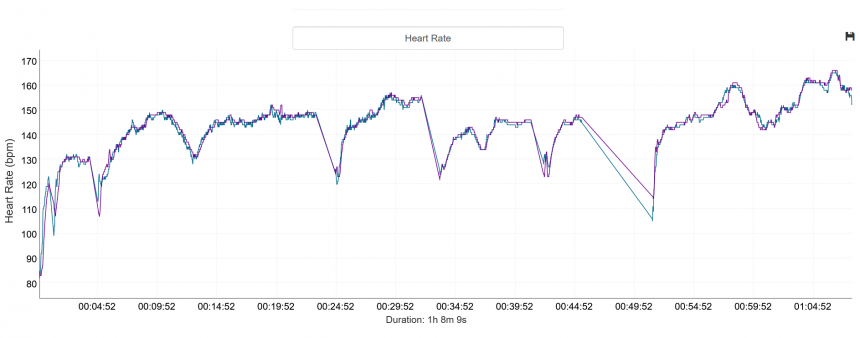 Kék – mellkaspánt, lila – Forerunner 165