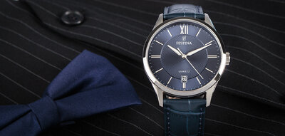 Festina Classic Strap 20426/2