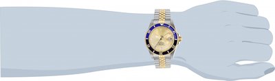 Invicta Pro Diver Automatic 29181