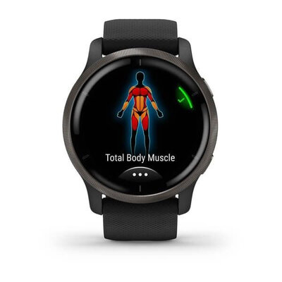 Garmin Venu 2 Slate / Black Band