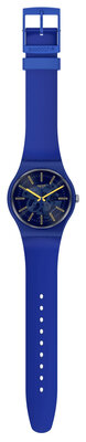 Swatch Sunbrush Sky SO29N101