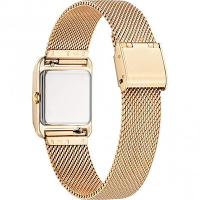 Citizen Elegant Eco-Drive EW5593-64D (+ pótszíj)