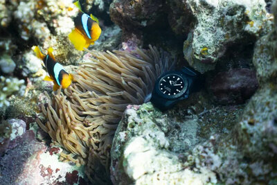 Certina DS Action Diver Powermatic 80 C032.607.38.051.00