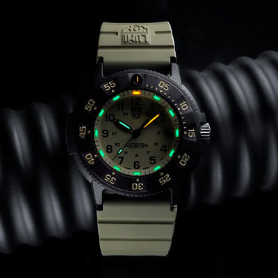 Luminox Navy SEAL XS.3010.EVO.S