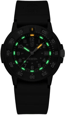 Luminox Navy SEAL XS.3013.EVO.S