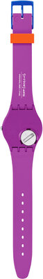 Swatch Class Act SO28Z118