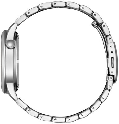 Citizen Elegant Automatic NH9131-73A