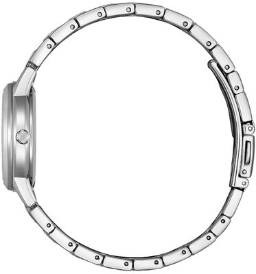 Citizen Elegant Ladies Eco-Drive FE1241-71Z