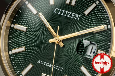 Citizen Tsuyosa Elegant Automatic NK0024-54X