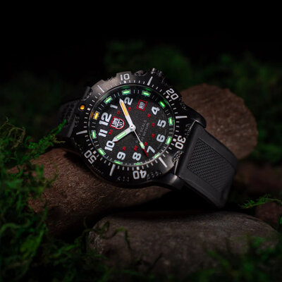 Luminox Navy SEAL 4230 Series XS.4231.2