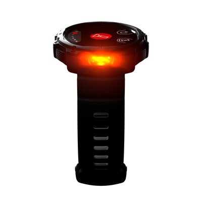 Polar Street X Forest Green