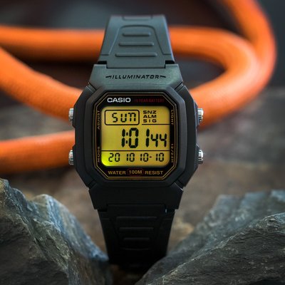 Casio Collection W-800HG-9AVES