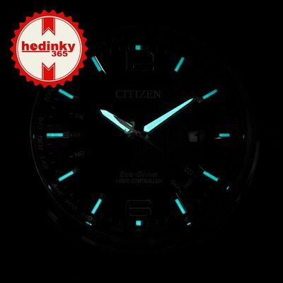 Citizen Elegant Eco-Drive Global Radiocontrolled CB0010-88E