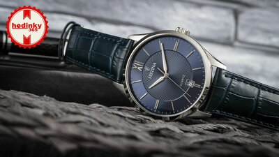 Festina Classic Strap 20426/2