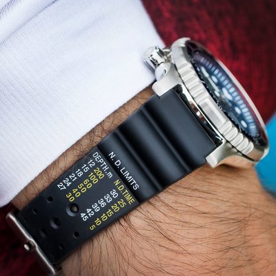 Citizen Promaster Marine Automatic Diver's NY0086-16LE