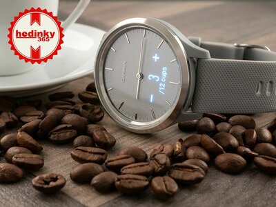 Garmin Vívomove 3 Sport, Silver / Gray Band