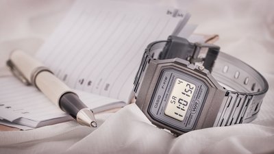 Casio Vintage F-91WS-8EF