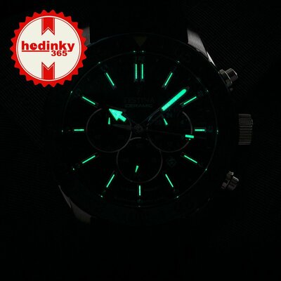 Festina Ceramic 20516/1