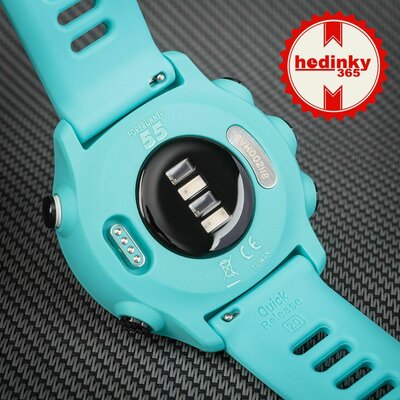 Garmin Forerunner 55 Blue