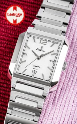 Festina Classic 20679/2